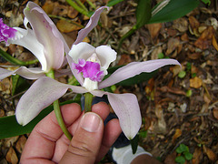 DSC09069