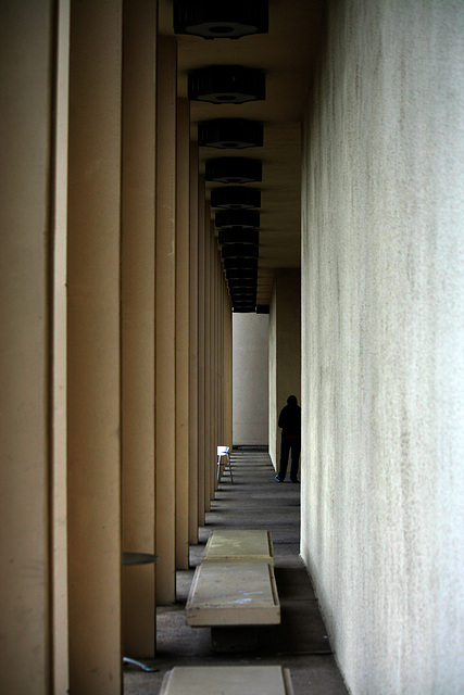 LACMA (8254)