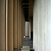 LACMA (8254)