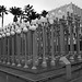 Urban Light by Chris Burden at LACMA (8197A)