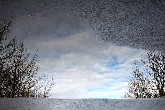 Mirror on the Street