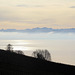 Bodensee