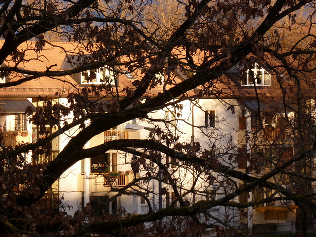 Licht am Nachmittag im Dezember