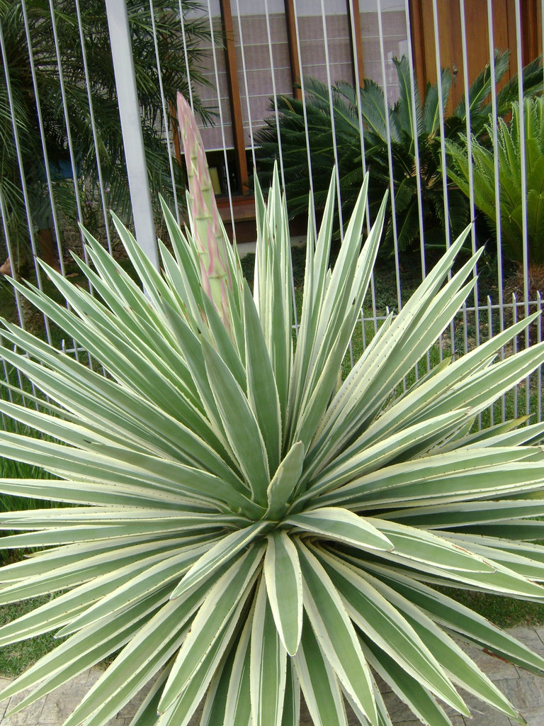 DSC09144