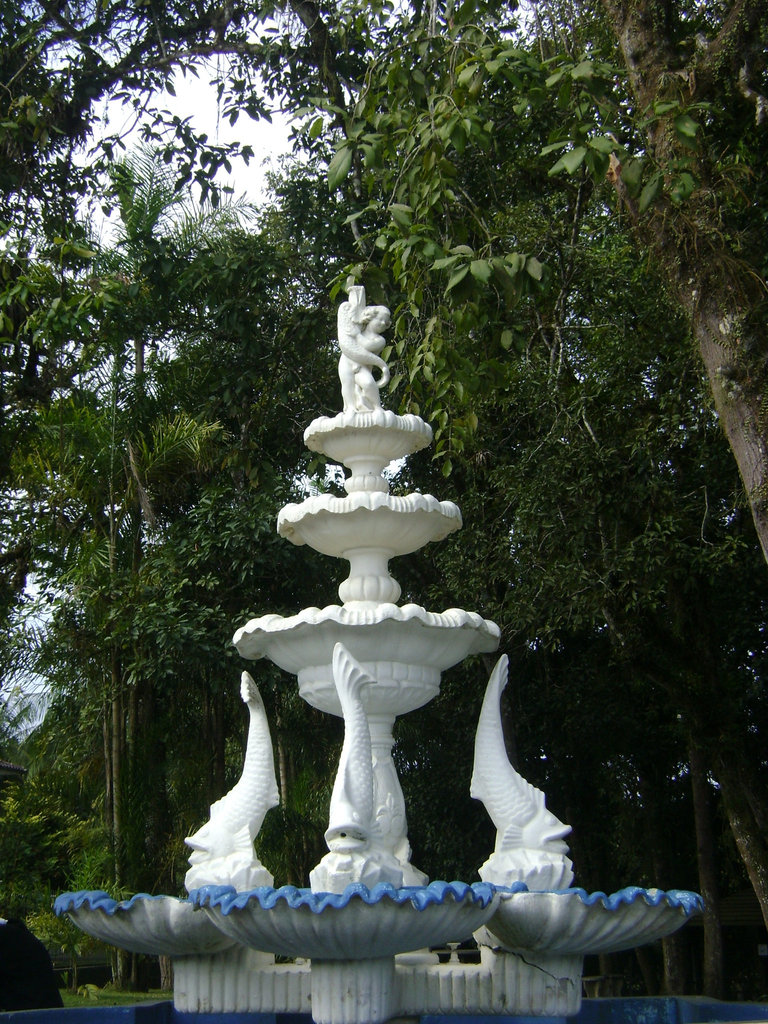 DSC08194