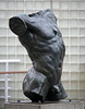 Marsyas (Torso of the 'Falling Man') by Rodin at LACMA (8246)