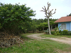DSC09204