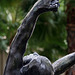 LACMA - The Prodigal Son by Rodin (8220)
