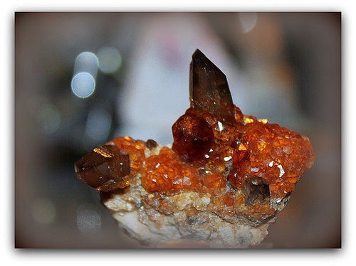 Grenats rouges Spessartite, sur Quartz fumé- Fujian Chine (3)