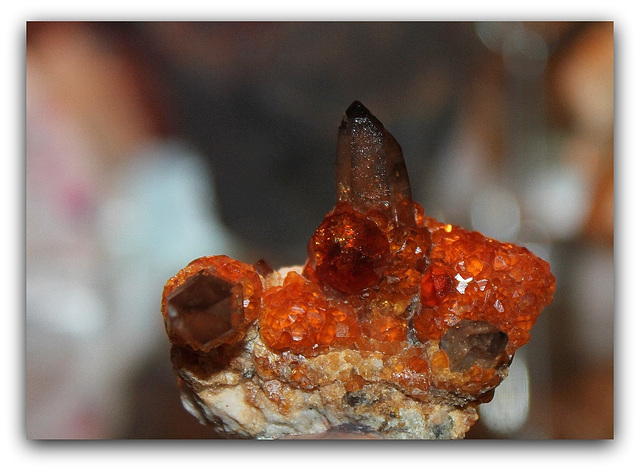 Grenats rouges Spessartite, sur Quartz fumé- Fujian Chine (2)