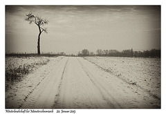 Winter landscape near Münsterschwarzach