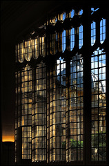 Divinity School, Oxford (2)