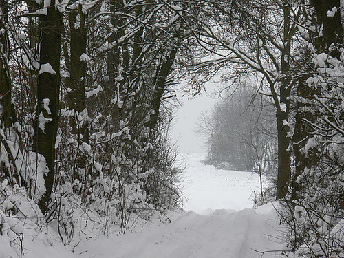winterlicher Ausblick