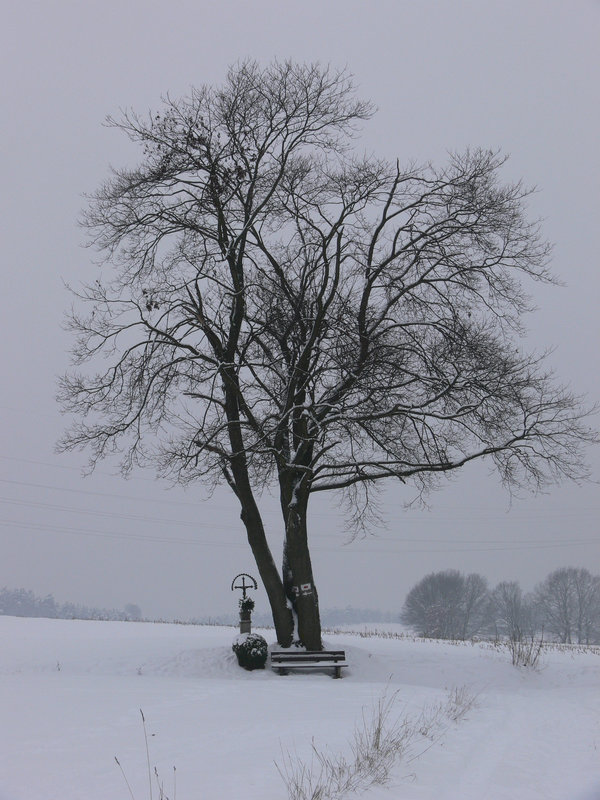 winterliche Stille