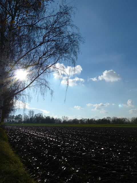 Sunny moments in November