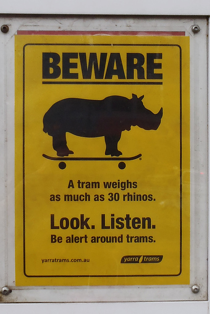 beware rhinos