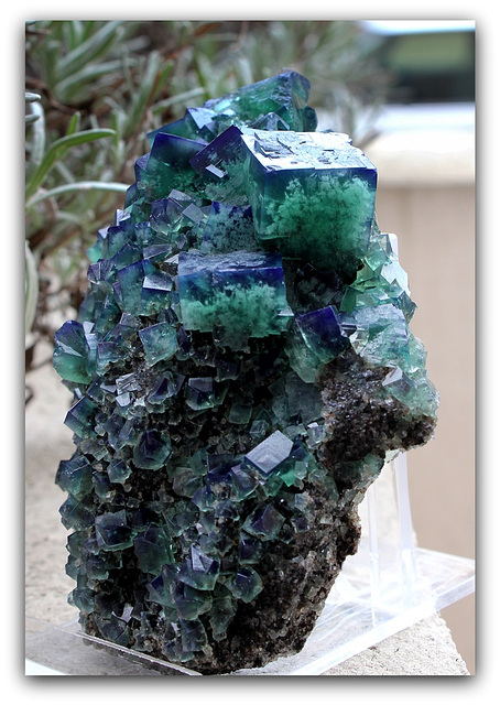 Fluorite de Rogerley