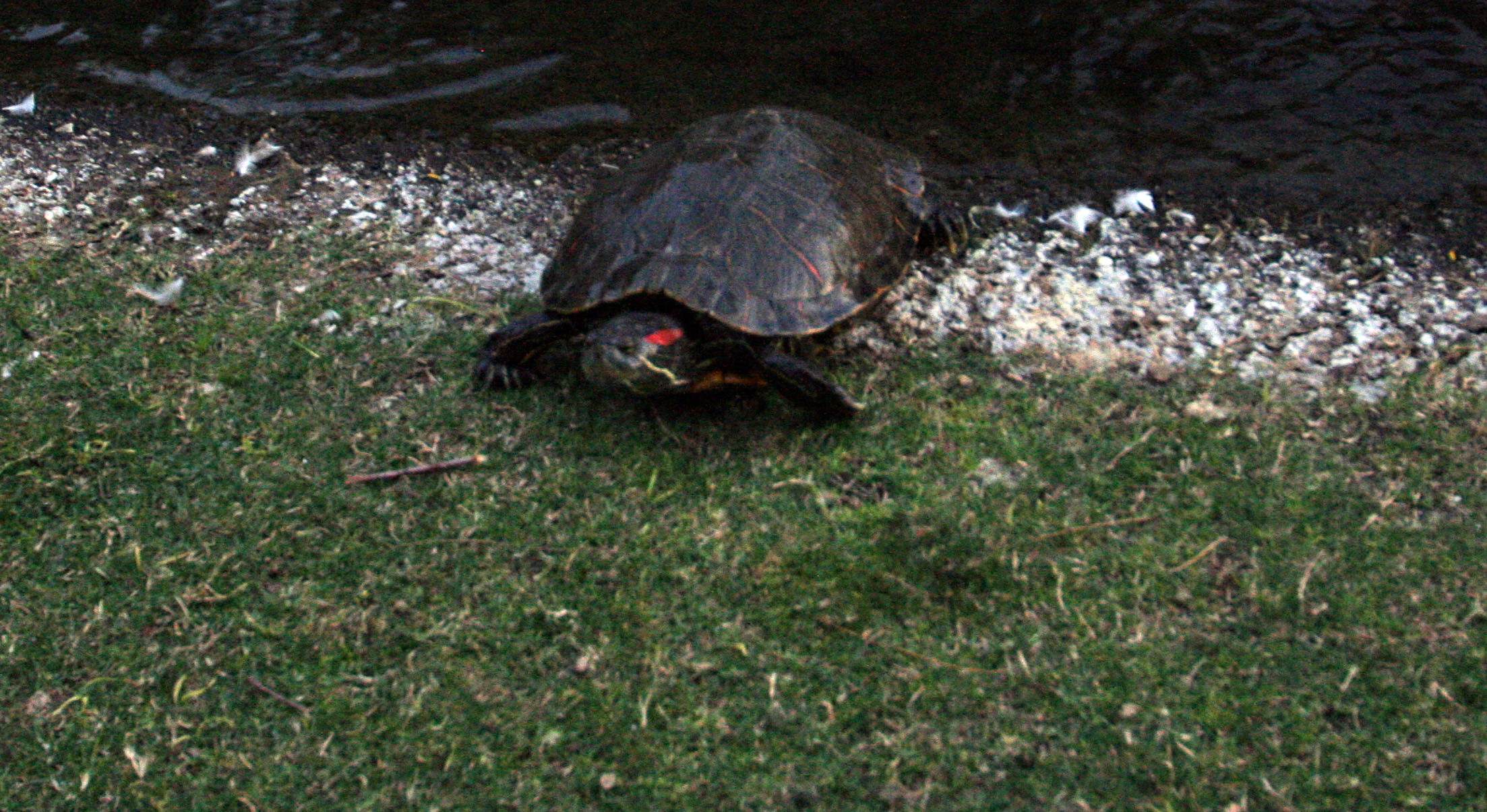 DHS Spa Tour 2013 - Two Bunch Palms Resort (9137)