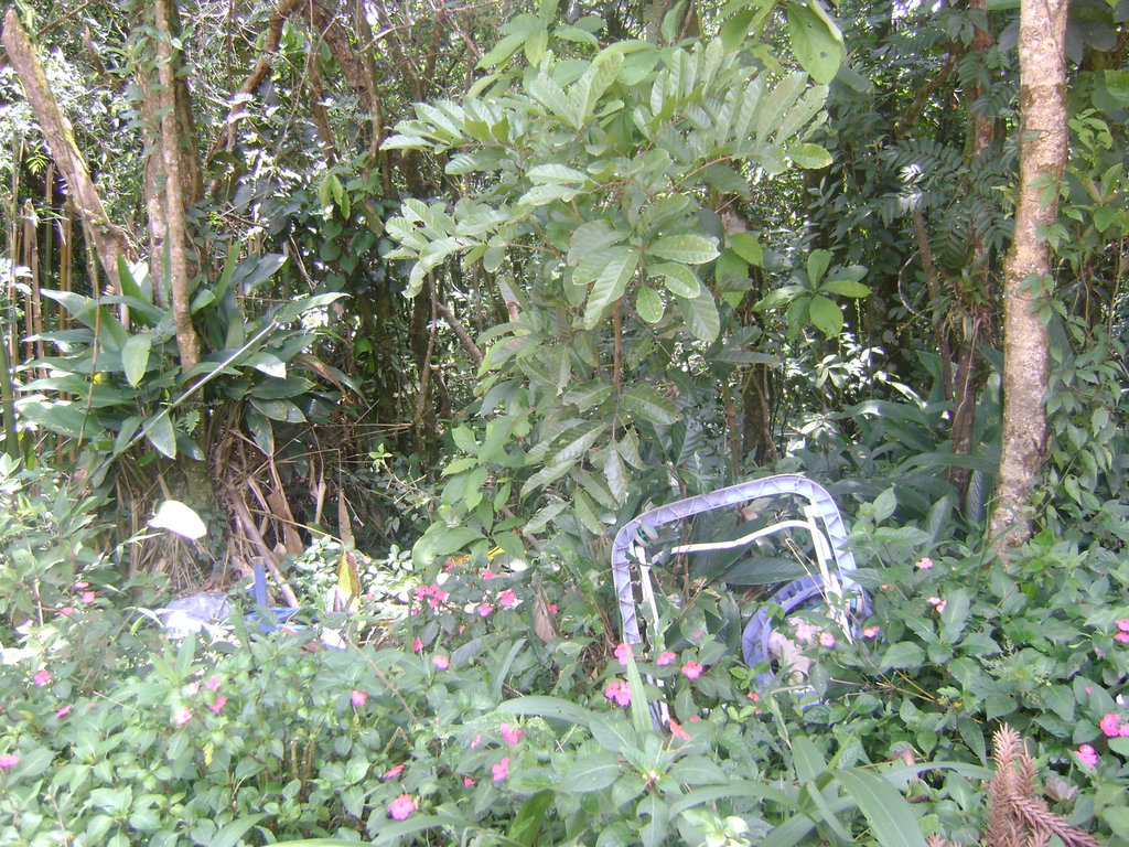 DSC07945