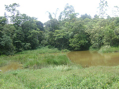 DSC07949