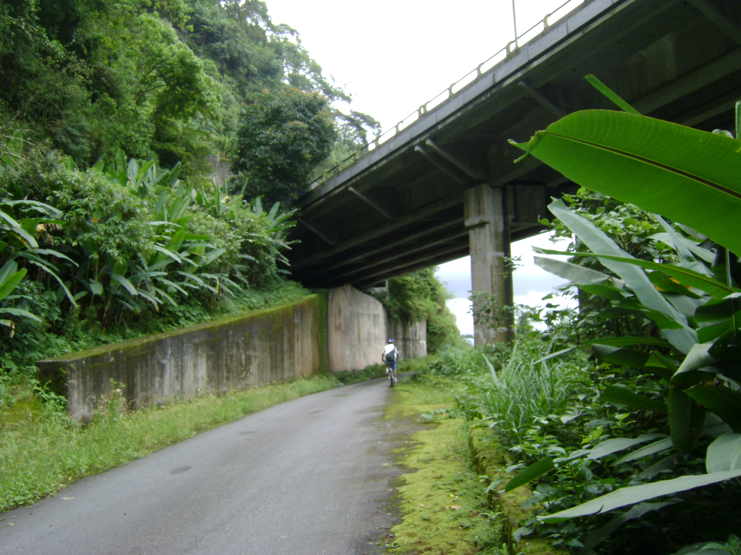 DSC08017