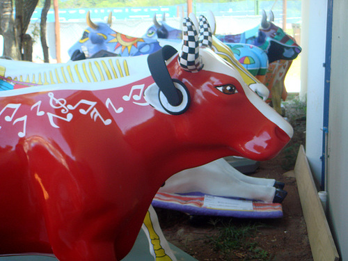 DSC04230
