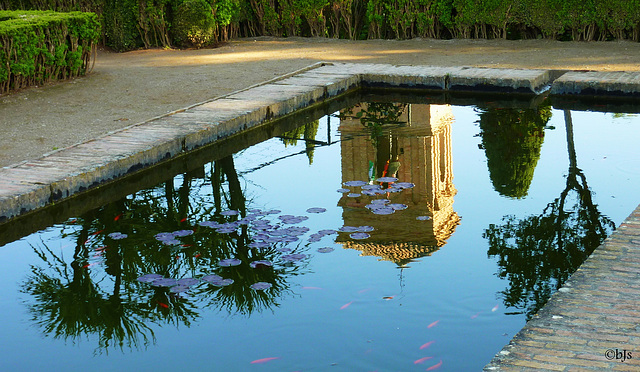 Dans les jardins de l'Alhambra