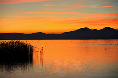 Crépuscule au lac...