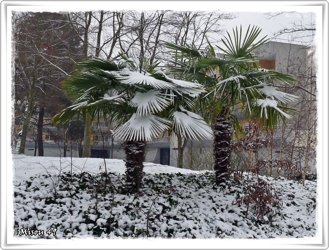 ANGERS