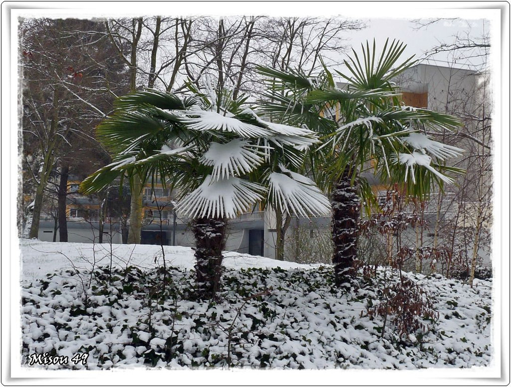 ANGERS