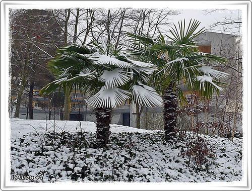 ANGERS