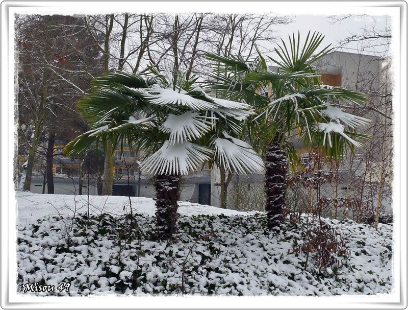 ANGERS