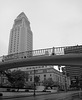 L.A. City Hall (08-07-14)