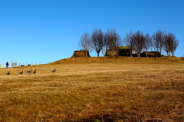 Old Farmhouse