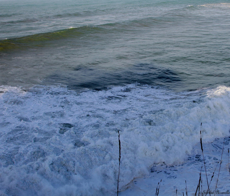 Azules mares