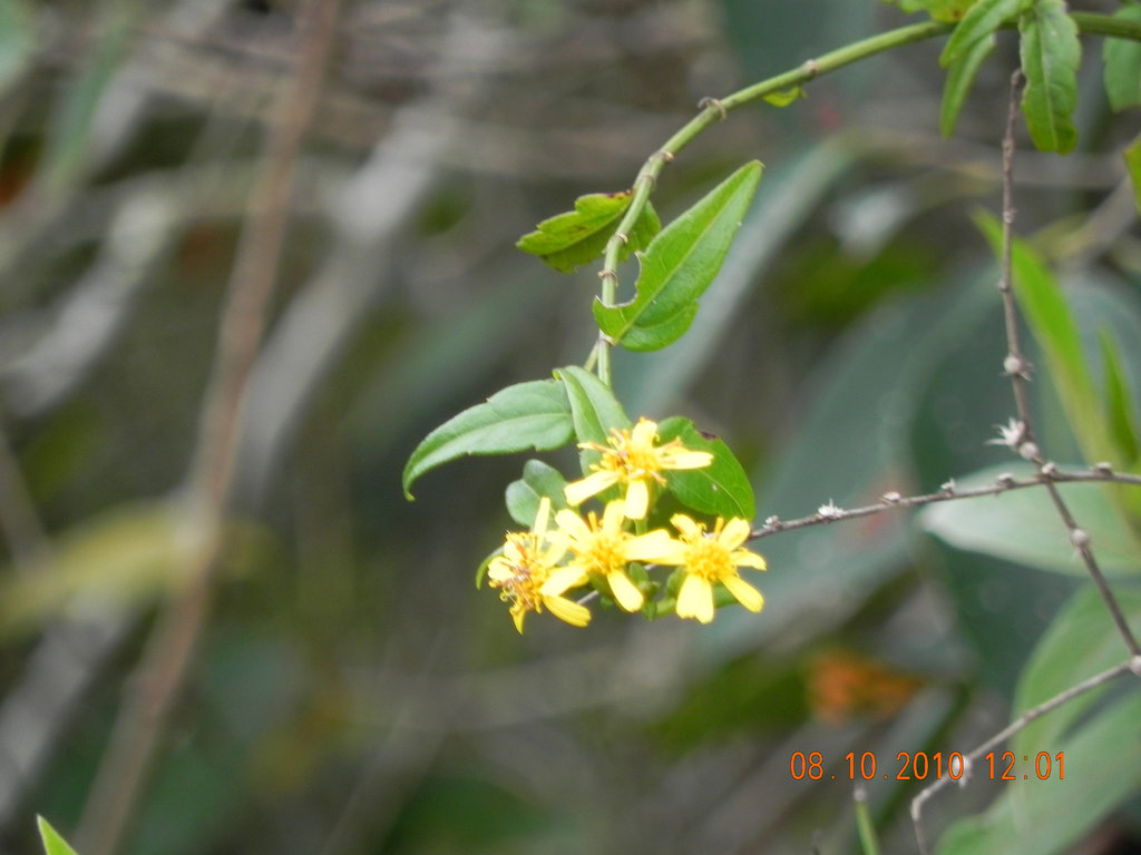 DSCN2341