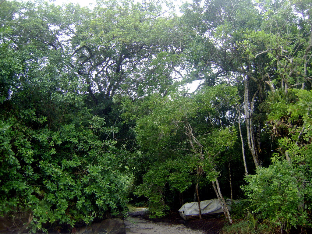 DSC09106