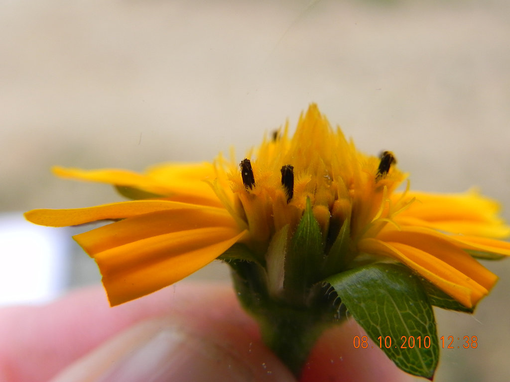 DSCN2373