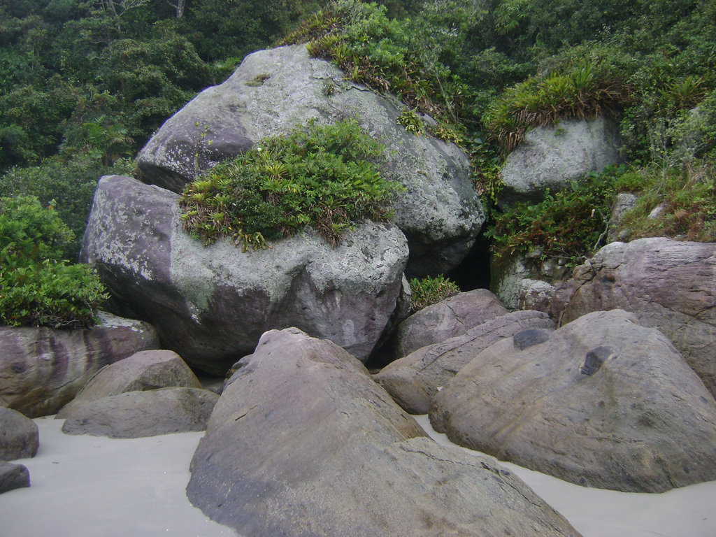 DSC09131