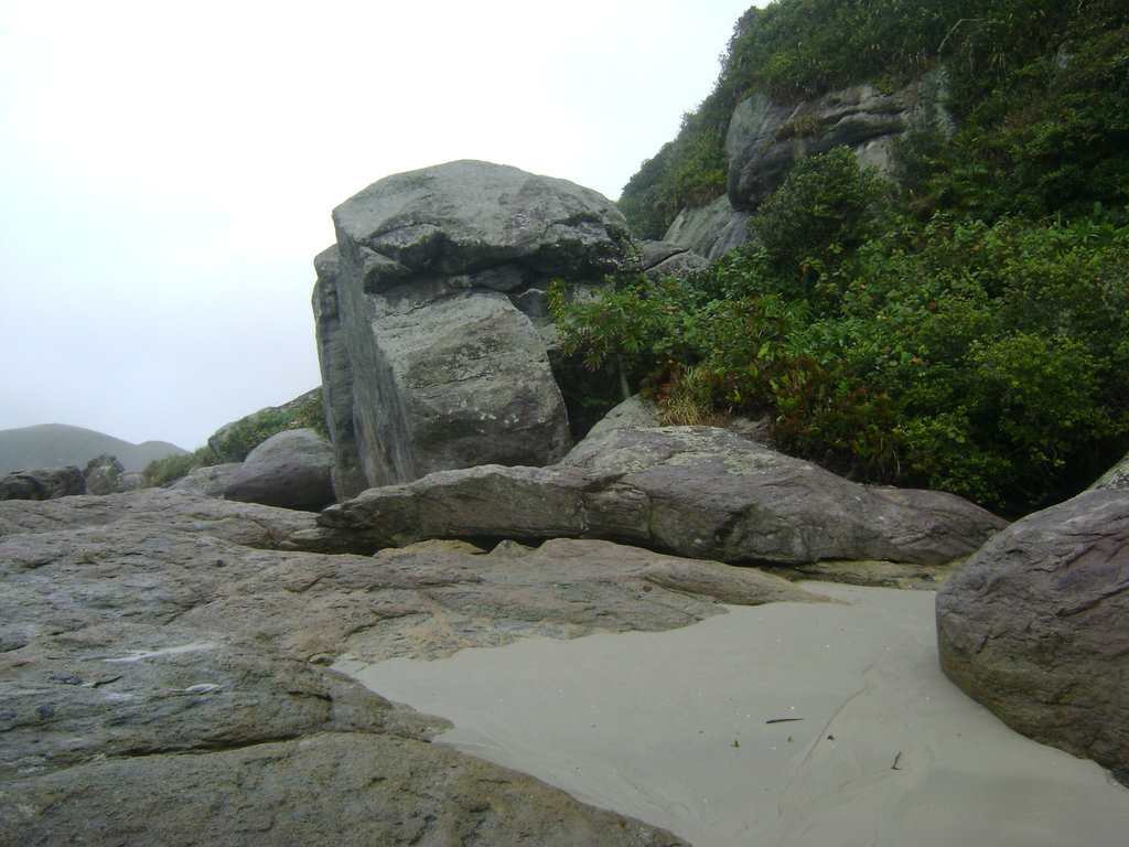 DSC09133