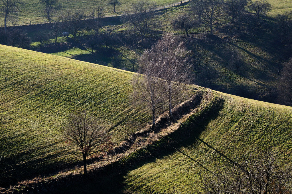 Linien - 121229