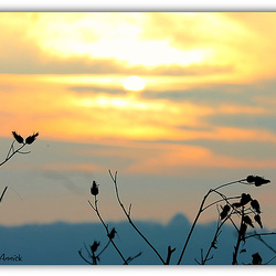 douceur d'un soir