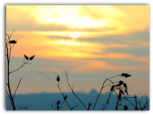 douceur d'un soir