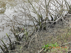 DSCN2407