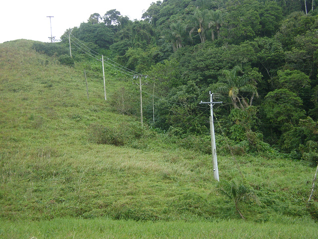 DSC09173