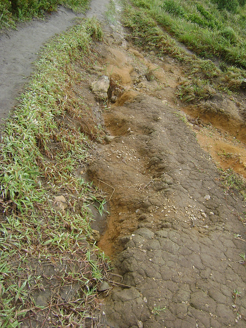 DSC09183