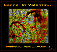 Bonne st-Valentin