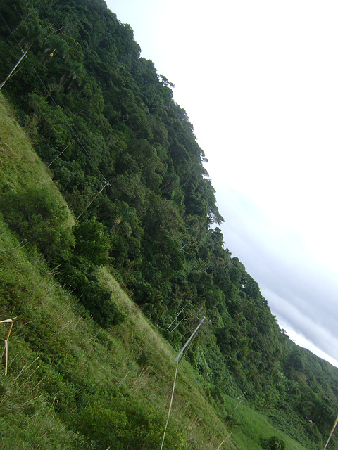 DSC09188