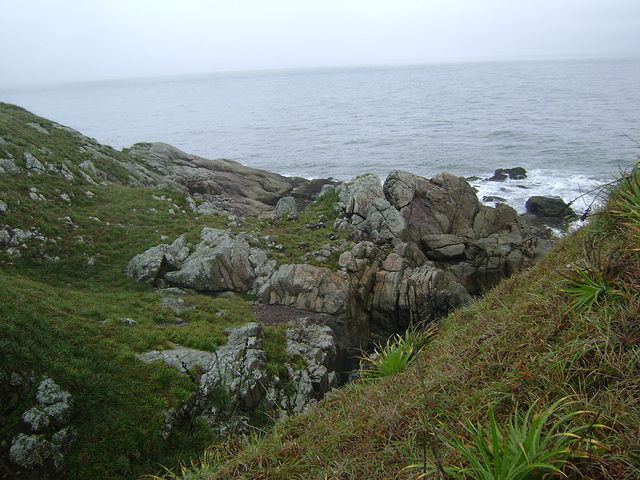 DSC09241