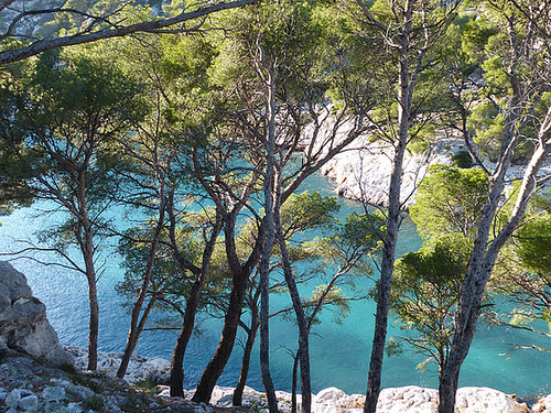 Calanque de PORT PIN